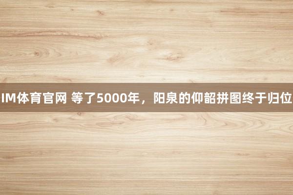 IM体育官网 等了5000年，阳泉的仰韶拼图终于归位