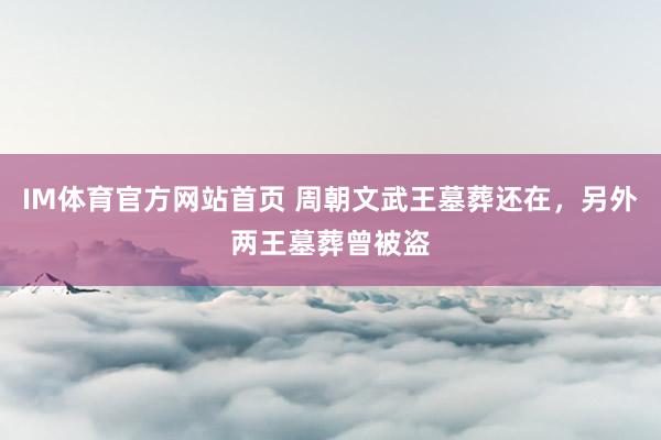 IM体育官方网站首页 周朝文武王墓葬还在，另外两王墓葬曾被盗