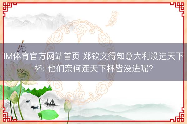 IM体育官方网站首页 郑钦文得知意大利没进天下杯: 他们奈何连天下杯皆没进呢?