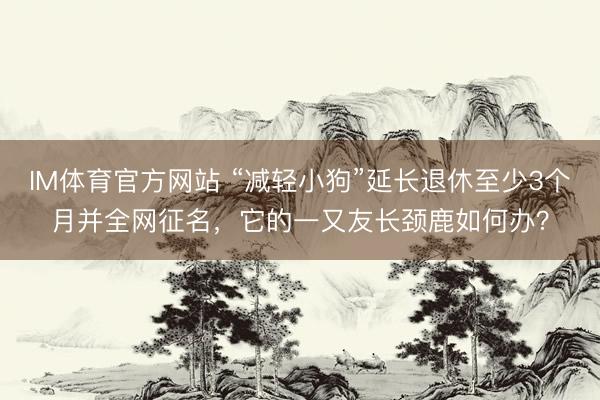 IM体育官方网站 “减轻小狗”延长退休至少3个月并全网征名，它的一又友长颈鹿如何办？